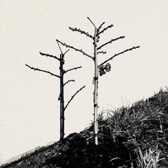 Meet your Posher, Jennifer - Picture 1 of 1